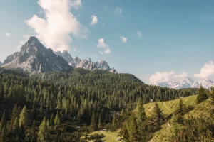 10 Skutecznych Sposobów na Reklamę w Internecie, Które Zmienią Twoją Strategię Marketingową